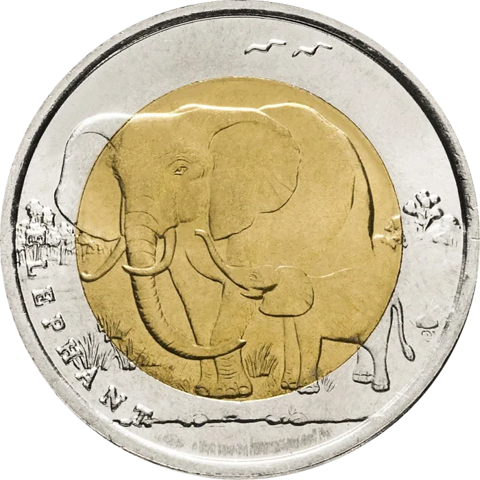 Elephant